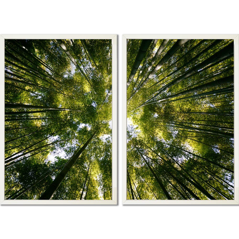 Kit Quadros Decorativos Natureza Árvores Vista