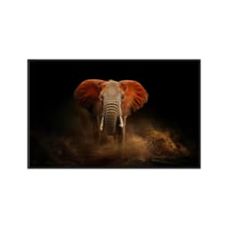 Quadro Decorativo Elefante