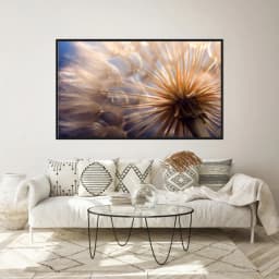 Quadro Decorativo Dente De Leão