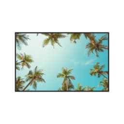 Quadro Decorativo Coqueiro