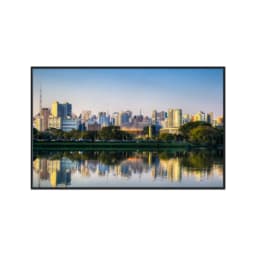 Quadro Decorativo Ibirapuera Sao Paulo