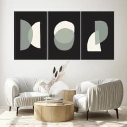 Kit Quadros Decorativos Orgânico