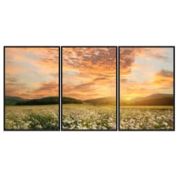 Kit Quadros Decorativos Pôr Do Sol