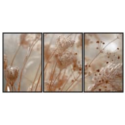 Kit Quadros Decorativos Folhas Secas