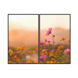Kit Quadros Decorativos Flor Rosa E Laranja