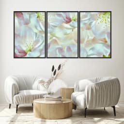 Kit Quadros Decorativos Flor Branca E Rosa