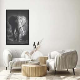 Quadro Decorativo Elefante