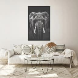 Quadro Decorativo Elefante