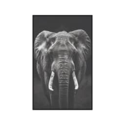 Quadro Decorativo Elefante