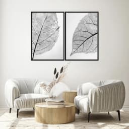 Kit Quadros Decorativos Folha Raio X