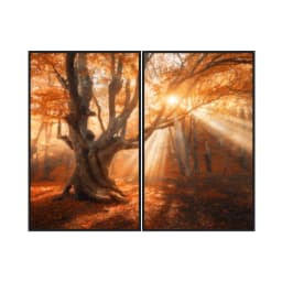 Kit Quadros Decorativos Folhas Laranja