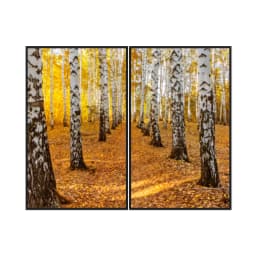 Kit Quadros Decorativos Tronco