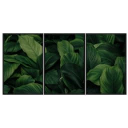 Kit Quadros Decorativos Planta Verde