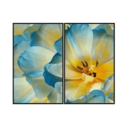 Kit Quadros Decorativos Flora Amarela E Azul