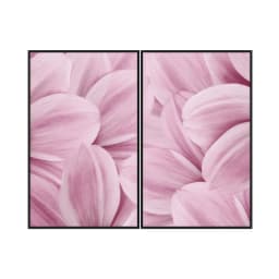 Kit Quadros Decorativos Flor Rosa