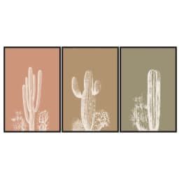 Kit Quadros Decorativos Cactos