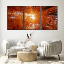 Kit Quadros Decorativos Árvore Laranja