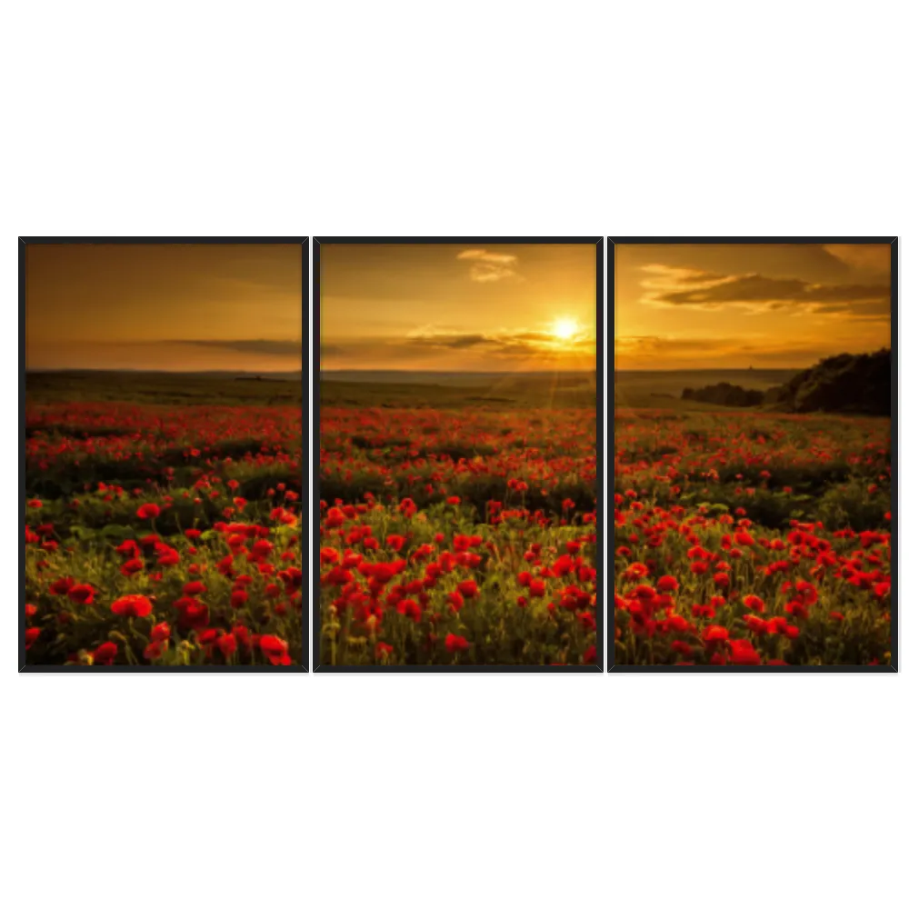 Kit Quadros Decorativos Rosa Vermelha
