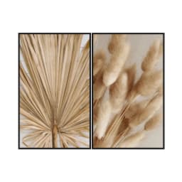 Kit Quadros Decorativos Pampas Marrom
