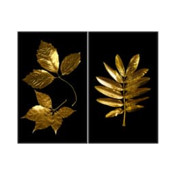 Kit Quadros Decorativos Planta Dourada