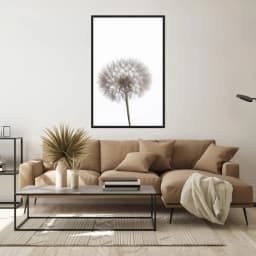 Quadro Decorativo Dente De Leão