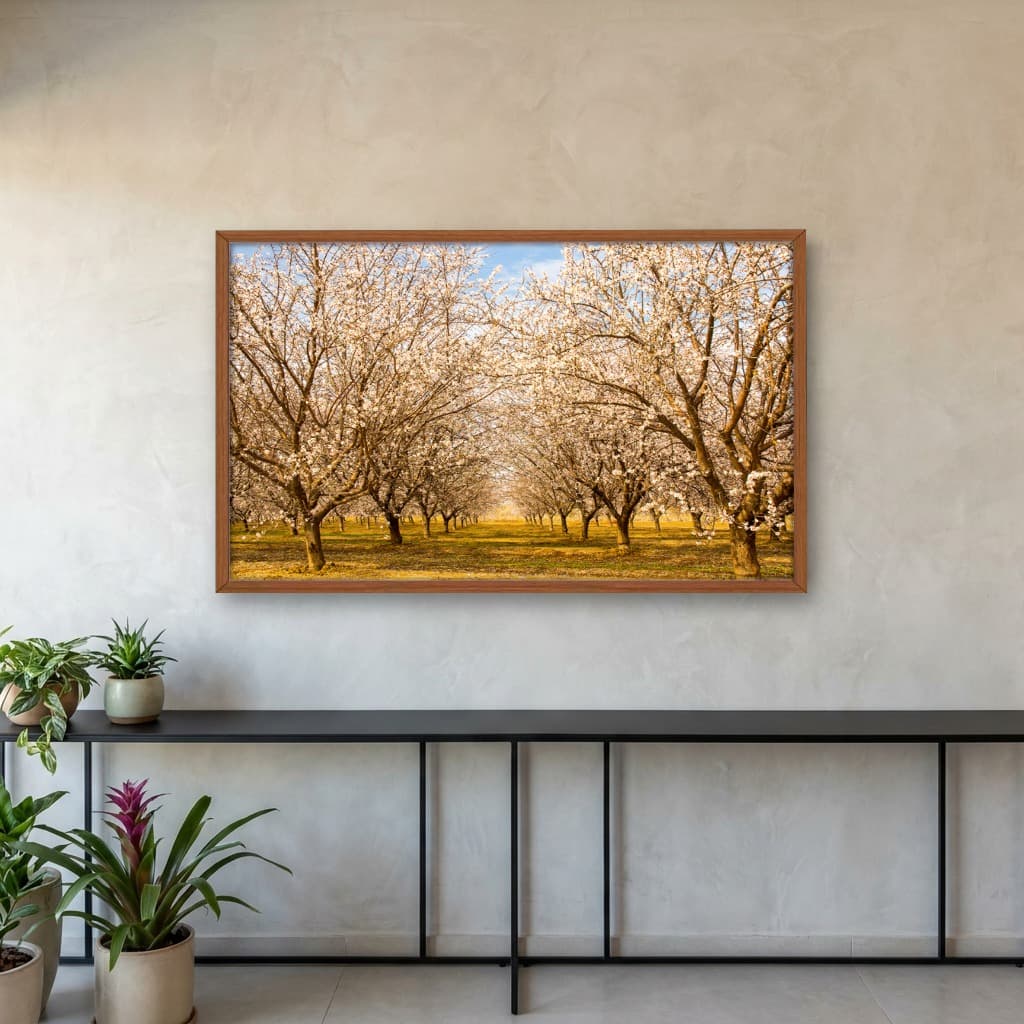 Quadro Decorativo Árvore Branca
