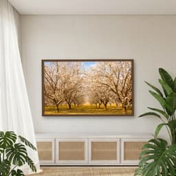 Quadro Decorativo Árvore Branca