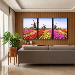 Kit Quadros Decorativos Tulipas Zaanse Holanda
