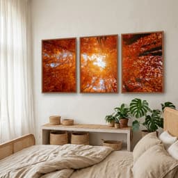 Kit Quadros Decorativos Árvore Laranja