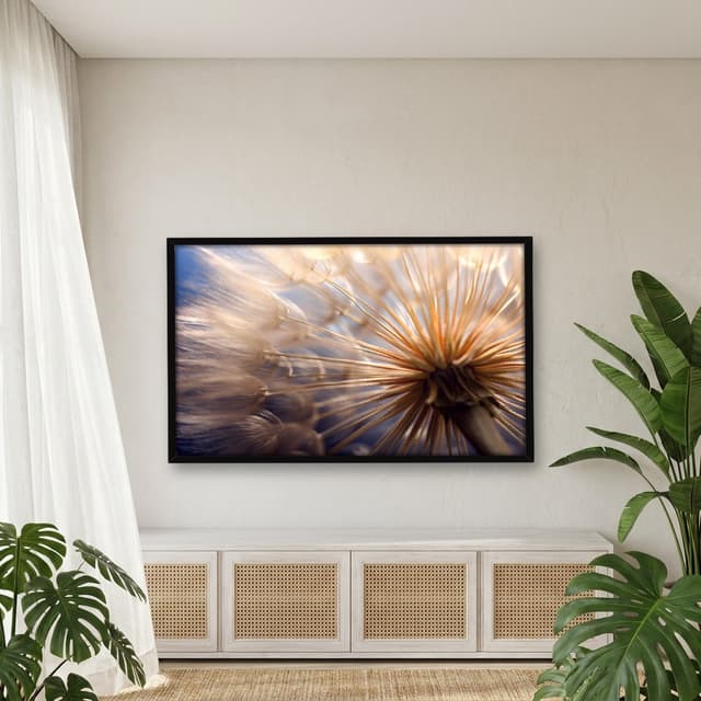 Quadro Decorativo Dente De Leão