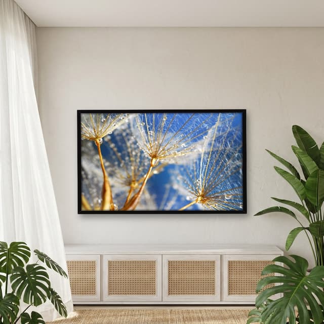 Quadro Decorativo Dente De Leão