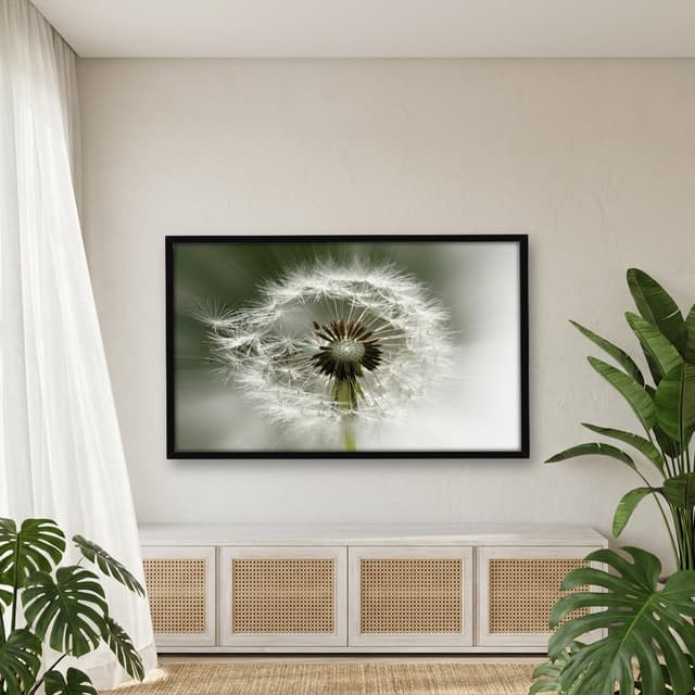 Quadro Decorativo Dente De Leão