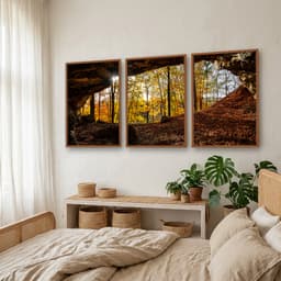 Kit Quadros Decorativos Árvore Laranja