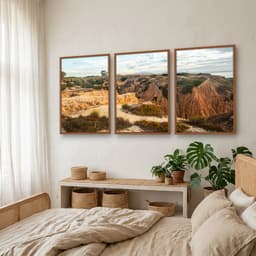 Kit Quadros Decorativos Rocha