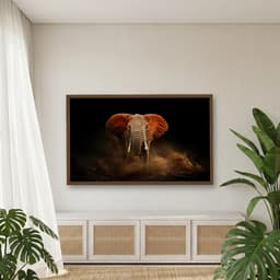 Quadro Decorativo Elefante