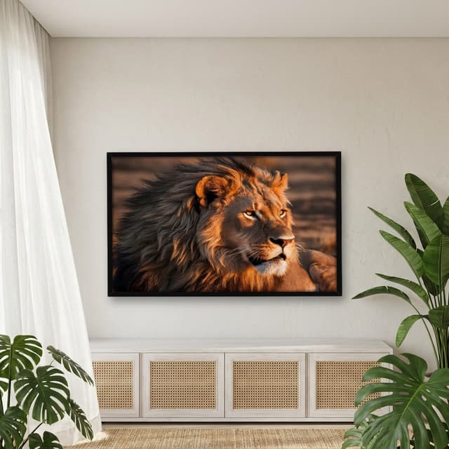 Quadro Decorativo Leão
