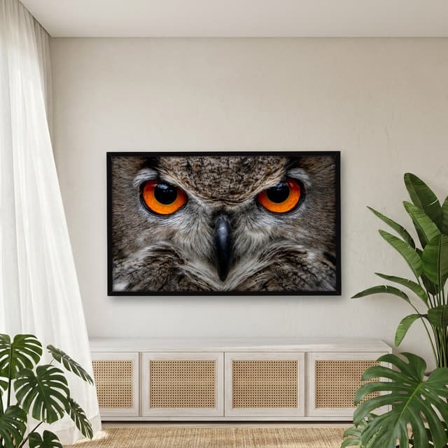 Quadro Decorativo Coruja