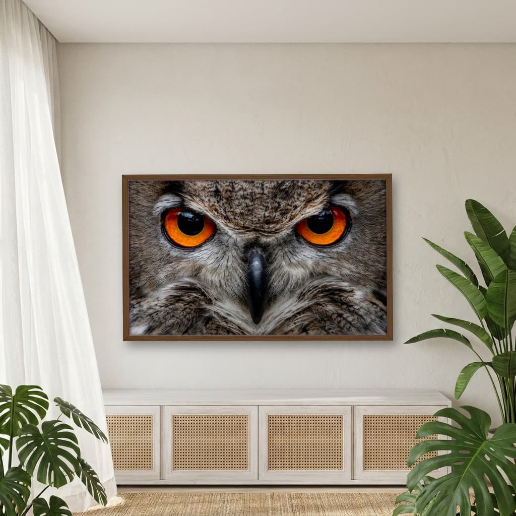 Quadro Decorativo Coruja