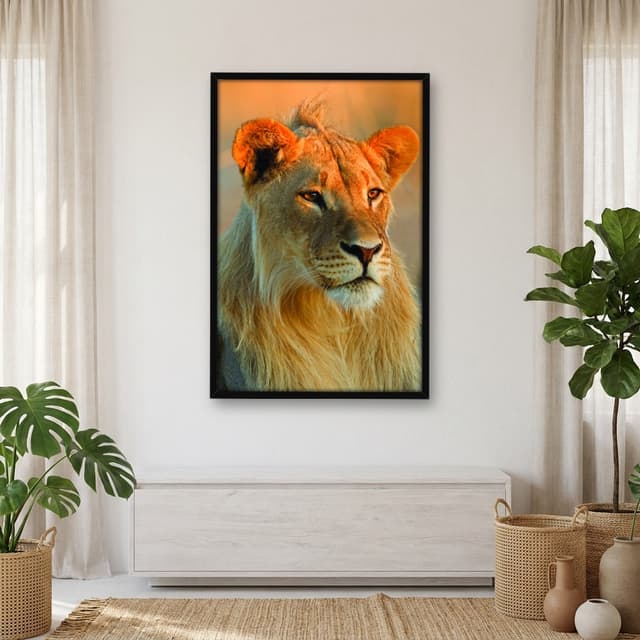 Quadro Decorativo Leão Jovem